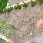 dscf9592_web